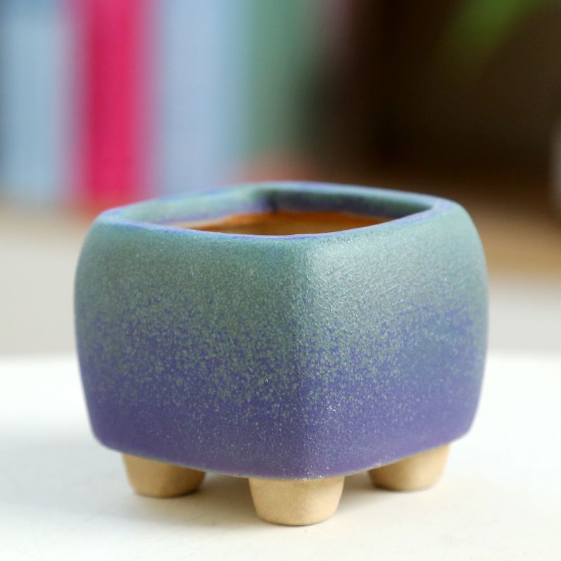 Training Pot Ceramic - Mini mięsista doniczka ceramiczna, oddychająca doniczka