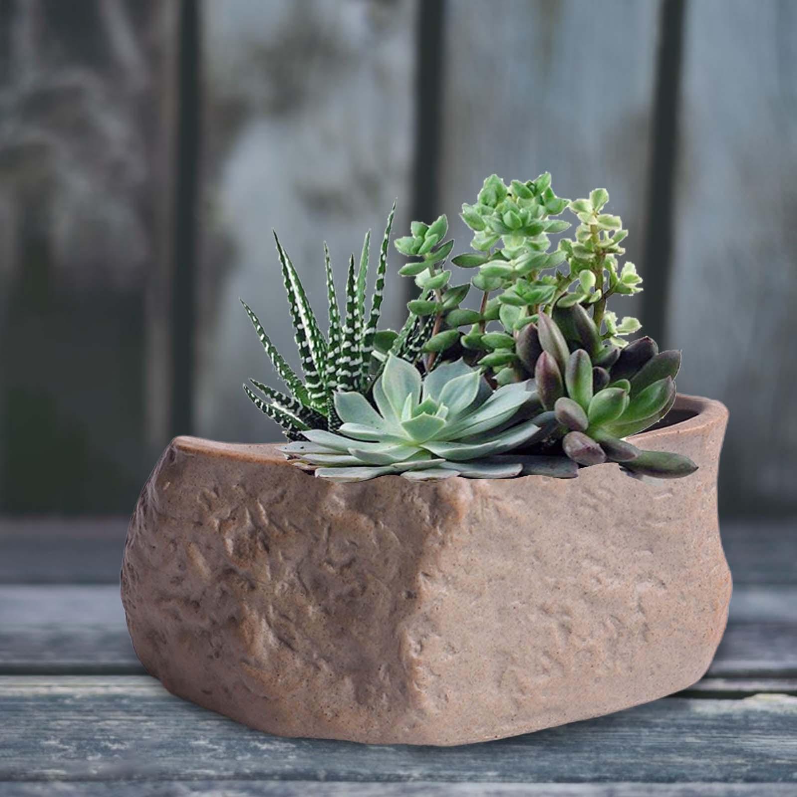 Training Pot Ceramic - Ceramiczne doniczki na sukulenty, lekkie doniczki