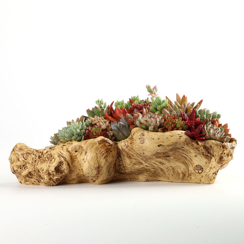 Styl duszpasterski Retro krajo – Bonsai Tree Zen Garden recenzja i cena
