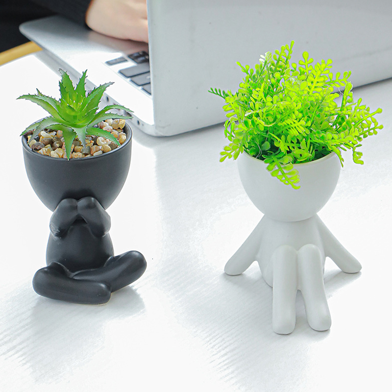 Nordycki kreatywny śliczne drz – Bonsai Tree Zen Garden recenzja i cena