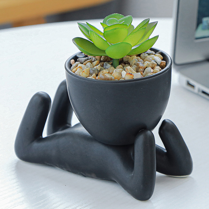Nordycki kreatywny śliczne drz – Bonsai Tree Zen Garden recenzja i cena