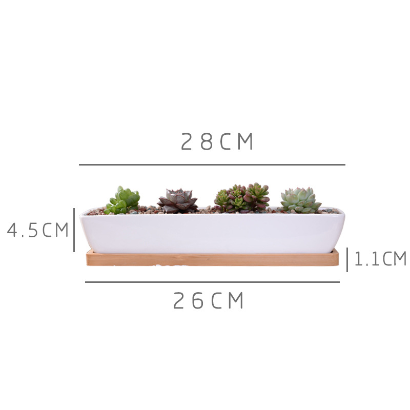 Długi prostokątny biały cerami – Bonsai Tree Zen Garden recenzja i cena