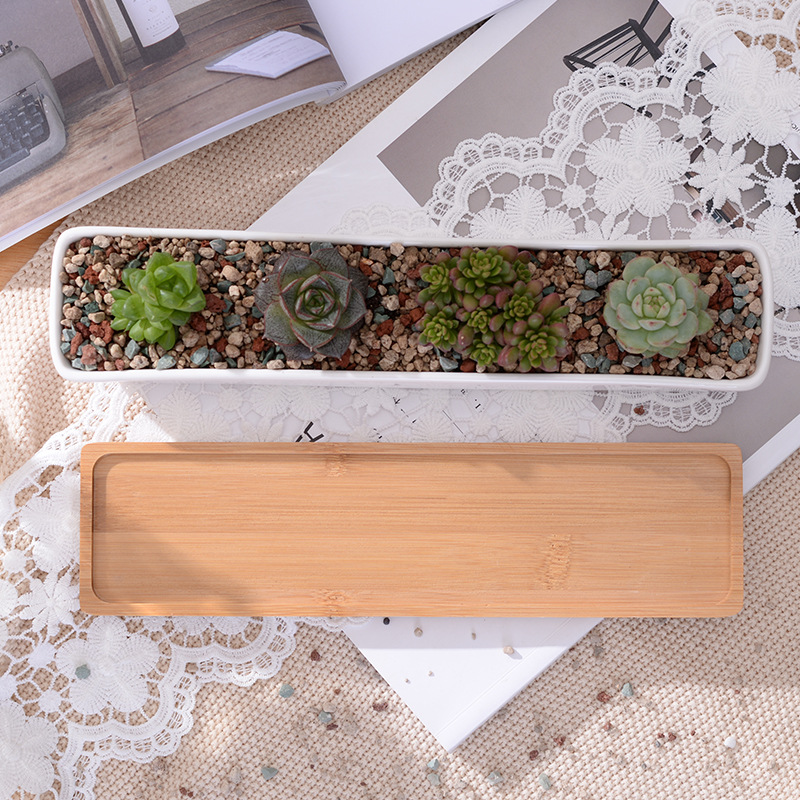 Długi prostokątny biały cerami – Bonsai Tree Zen Garden recenzja i cena