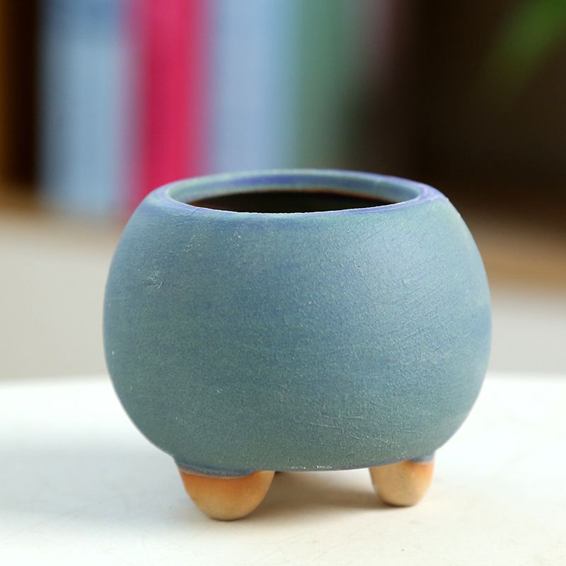 Mini mięsista doniczka ceramic – Training Pot Ceramic recenzja i cena