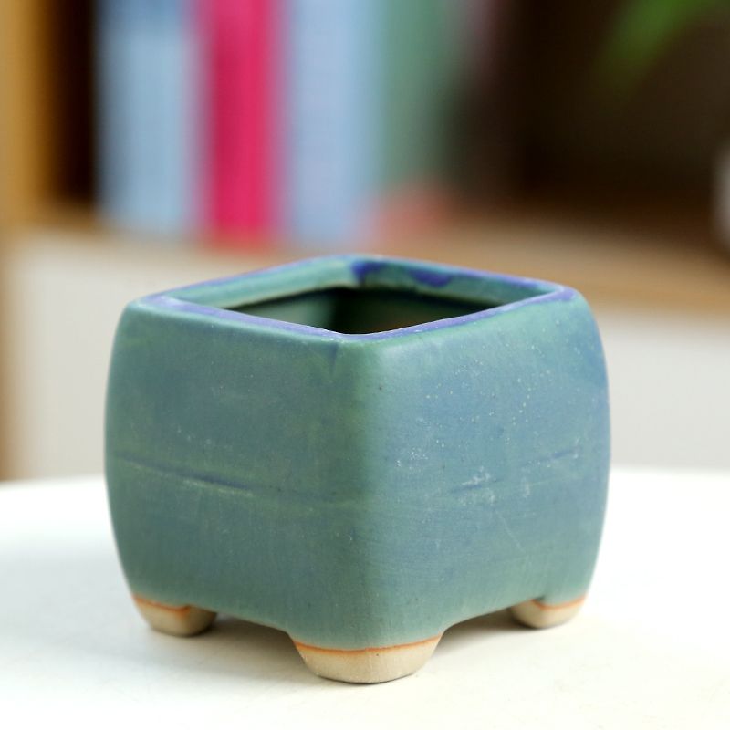 Mini mięsista doniczka ceramic – Training Pot Ceramic recenzja i cena