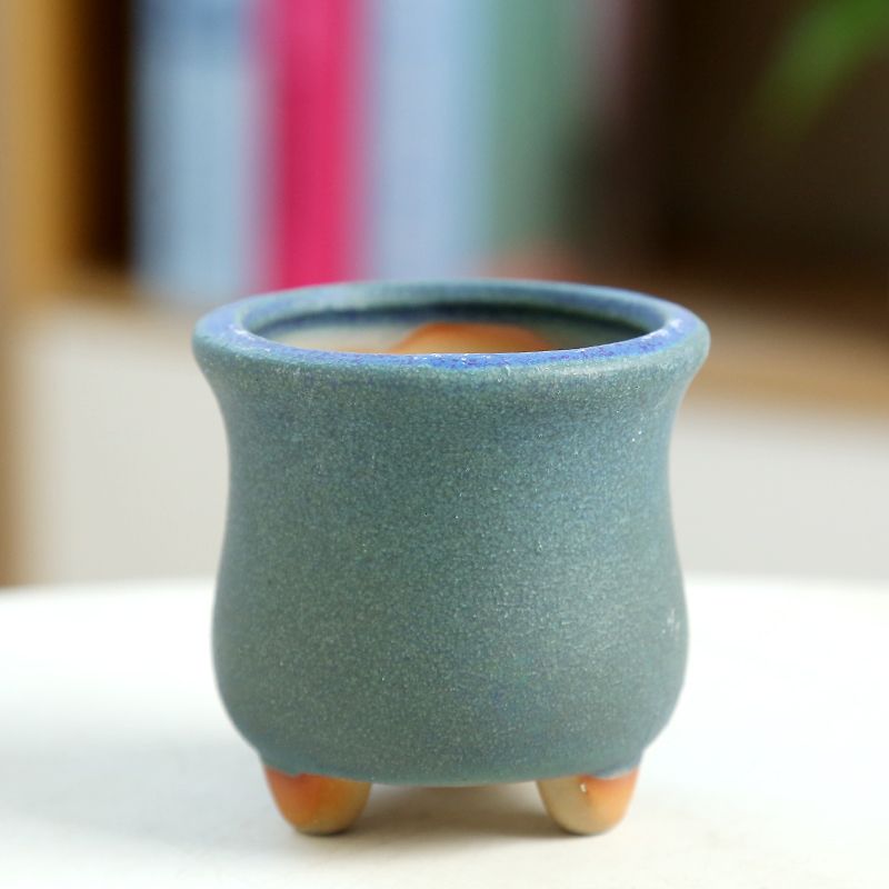 Mini mięsista doniczka ceramic – Training Pot Ceramic recenzja i cena