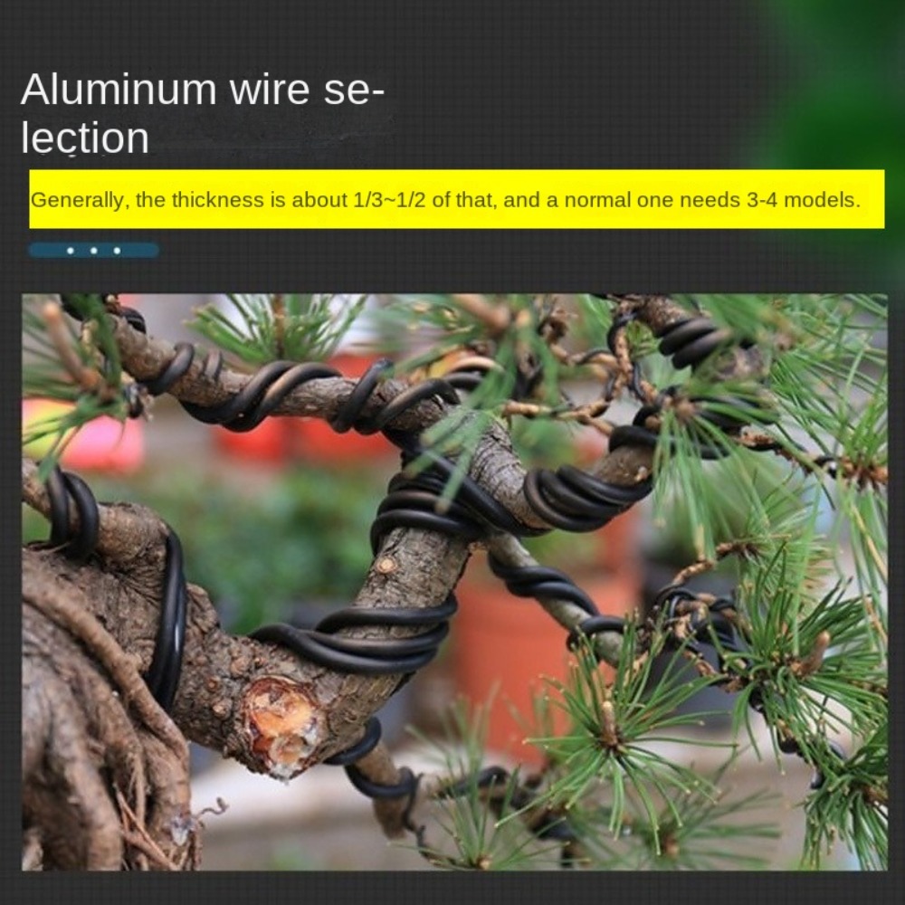 Aluminiowa drut do bonsai, dru – Bonsai Wire Aluminum recenzja i cena