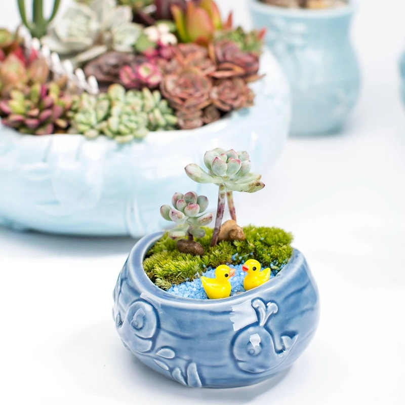 Europejski styl Śliczna mięsis – Bonsai Tree Zen Garden recenzja i cena