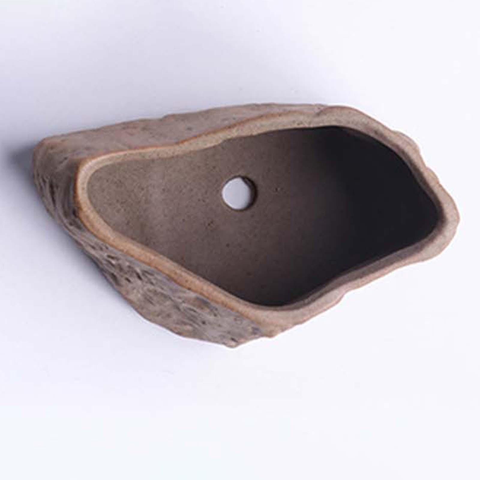 Ceramiczne doniczki na sukulen – Training Pot Ceramic recenzja i cena