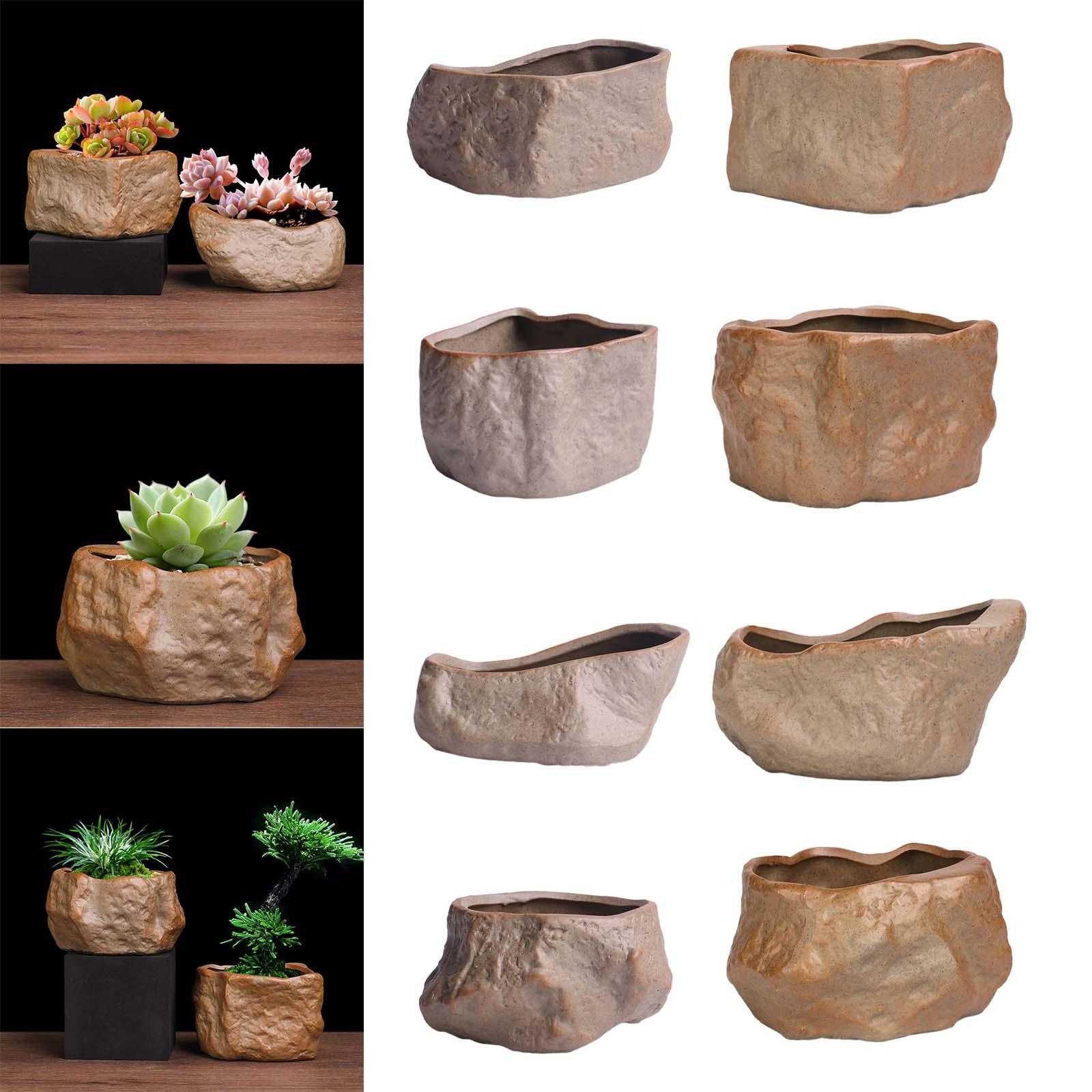 Ceramiczne doniczki na sukulen – Training Pot Ceramic recenzja i cena
