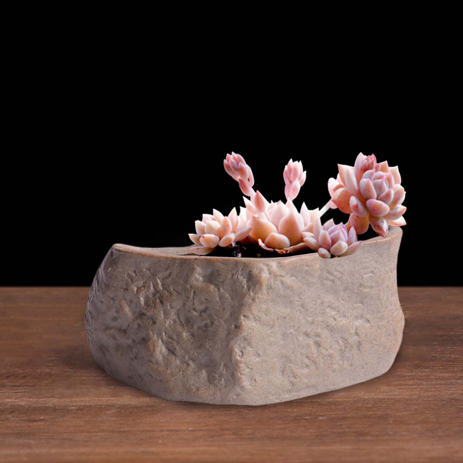 Ceramiczna doniczka na sukulen – Training Pot Ceramic recenzja i cena