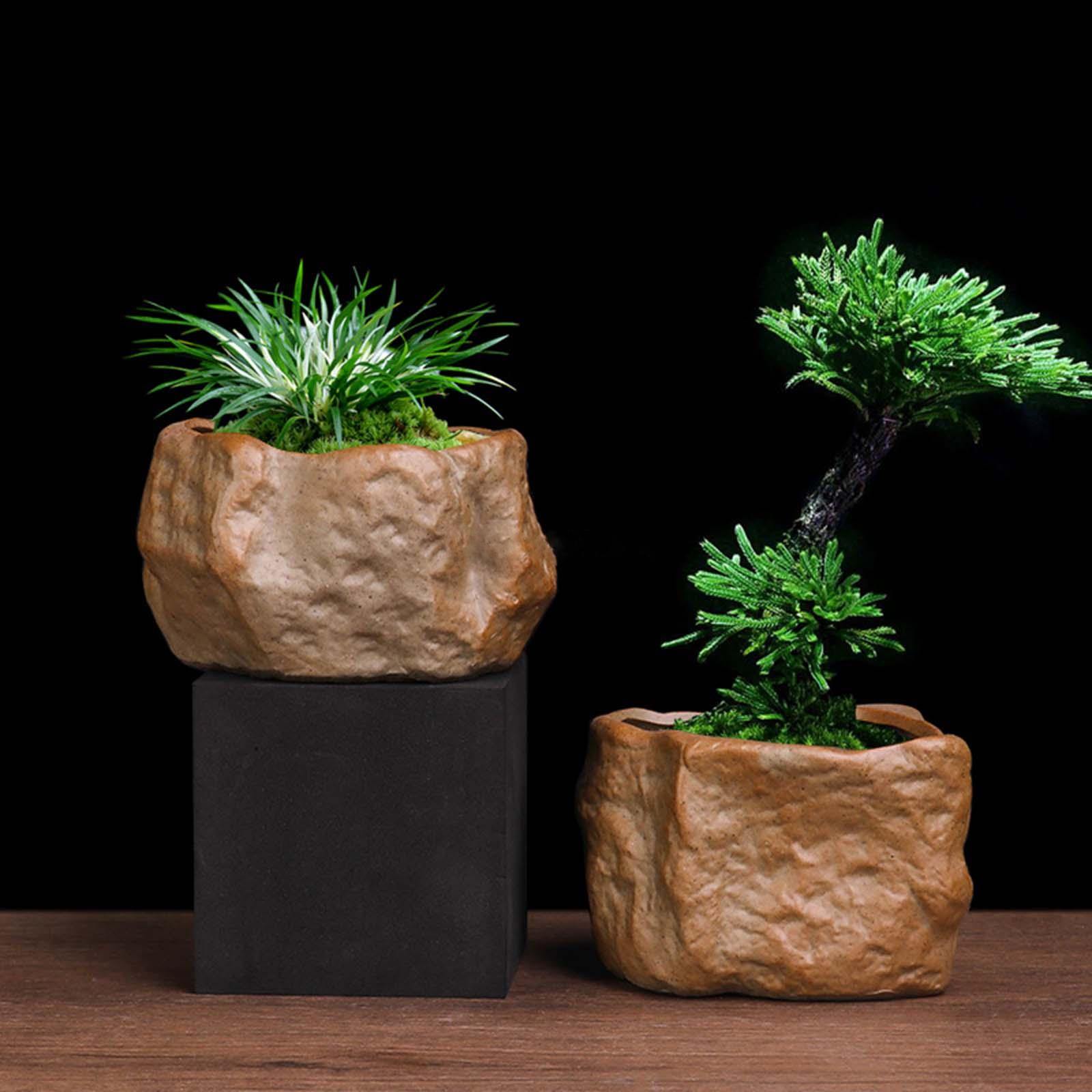 Ceramiczna doniczka na sukulen – Training Pot Ceramic recenzja i cena