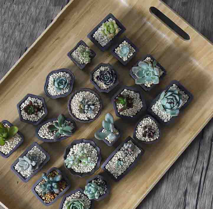Yixing Purple Sand Flower Pot  – Bonsai Tree Zen Garden recenzja i cena