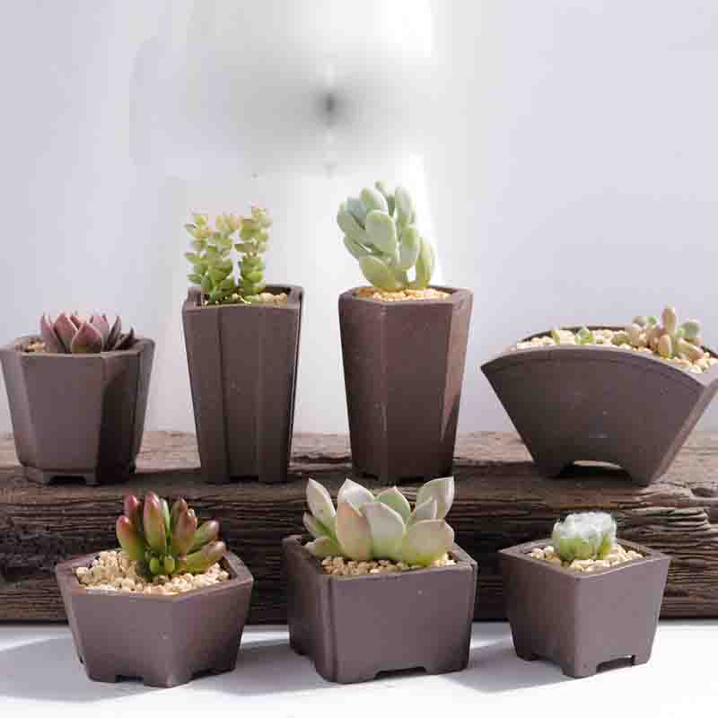 Yixing Purple Sand Flower Pot  – Bonsai Tree Zen Garden recenzja i cena