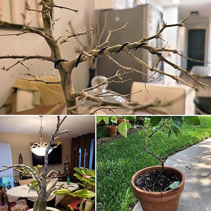 Drut aluminiowy do bonsai, cza – Bonsai Wire Aluminum recenzja i cena