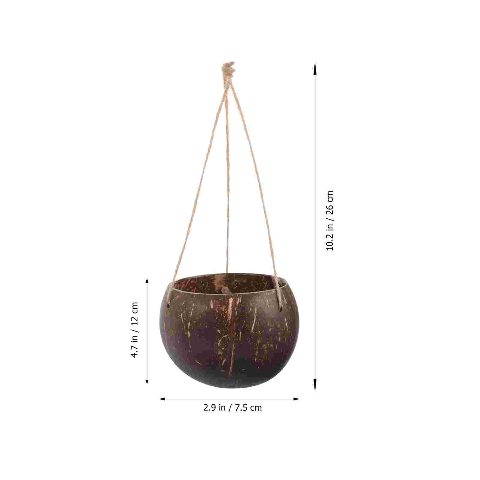 Doniczki z naturalnej łupiny o – Bonsai Tree Zen Garden recenzja i cena